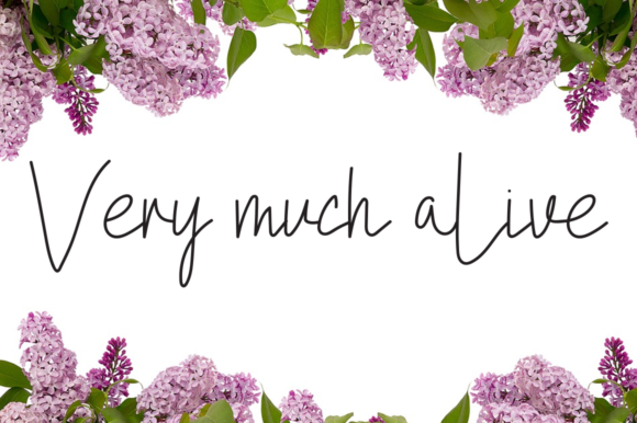 Athalia Beauty Font PNG with transparent background - Preview 4