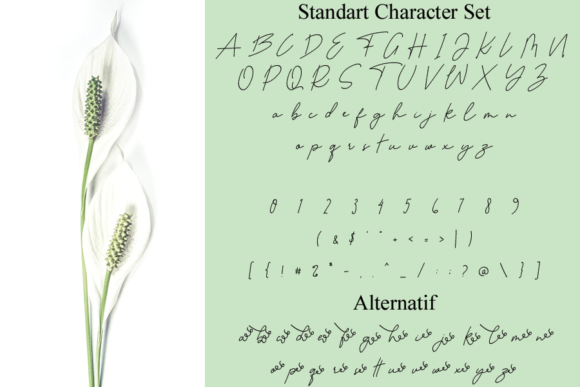 Autobiography Font - Preview 5