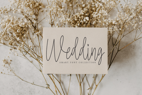 Bellonitta Signature Font - Preview 4