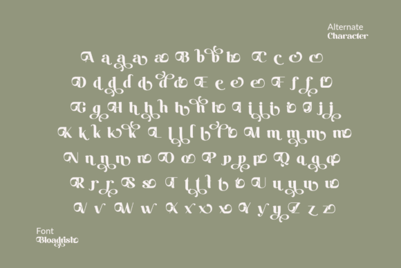 Bloadrish Font - Preview 5