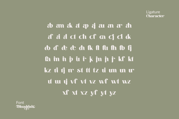 Bloadrish Font - Preview 6