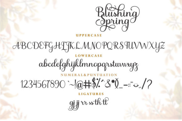 Blushing Spring Font - Preview 4