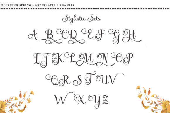 Blushing Spring Font - Preview 5