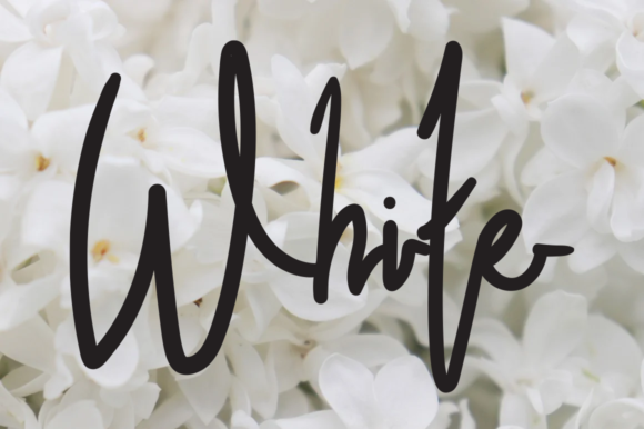Bountiful Font - Preview 3