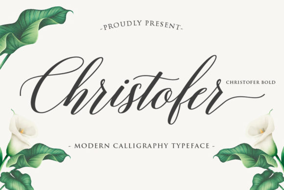 Christofer Font - Preview 6