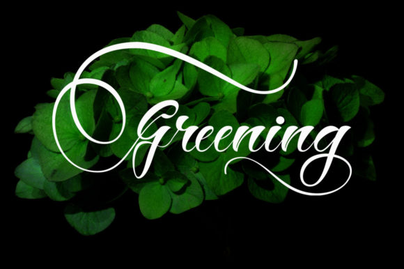 Hey Jintan Font PNG with transparent background - Preview 1