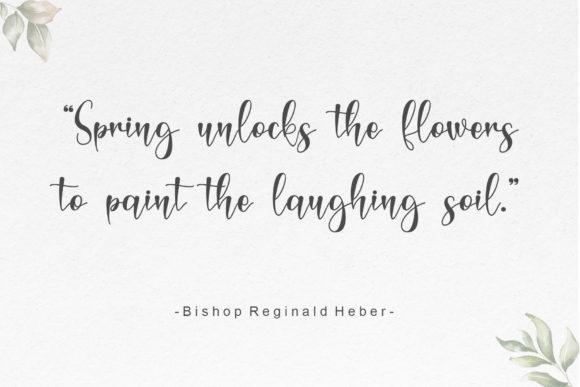 Magnolie Font PNG with transparent background - Preview 1