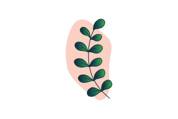Floral Leaves Colorful Graphic Illustrations By zia studio