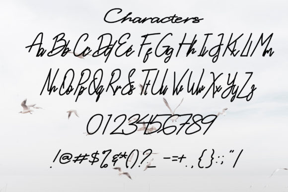Berdikari Font - Preview 4