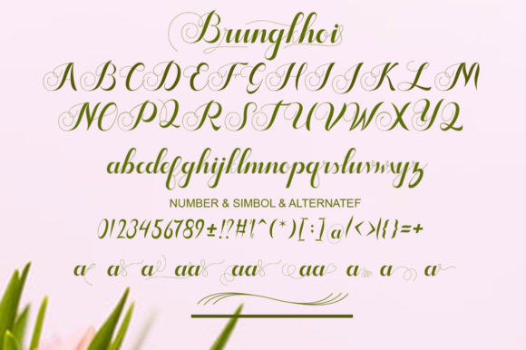 Brungkhoi Font - Preview 1
