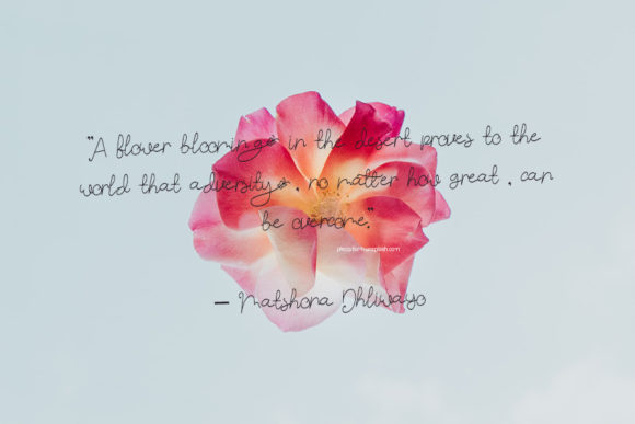 Butterfly N Flower Font - Preview 1
