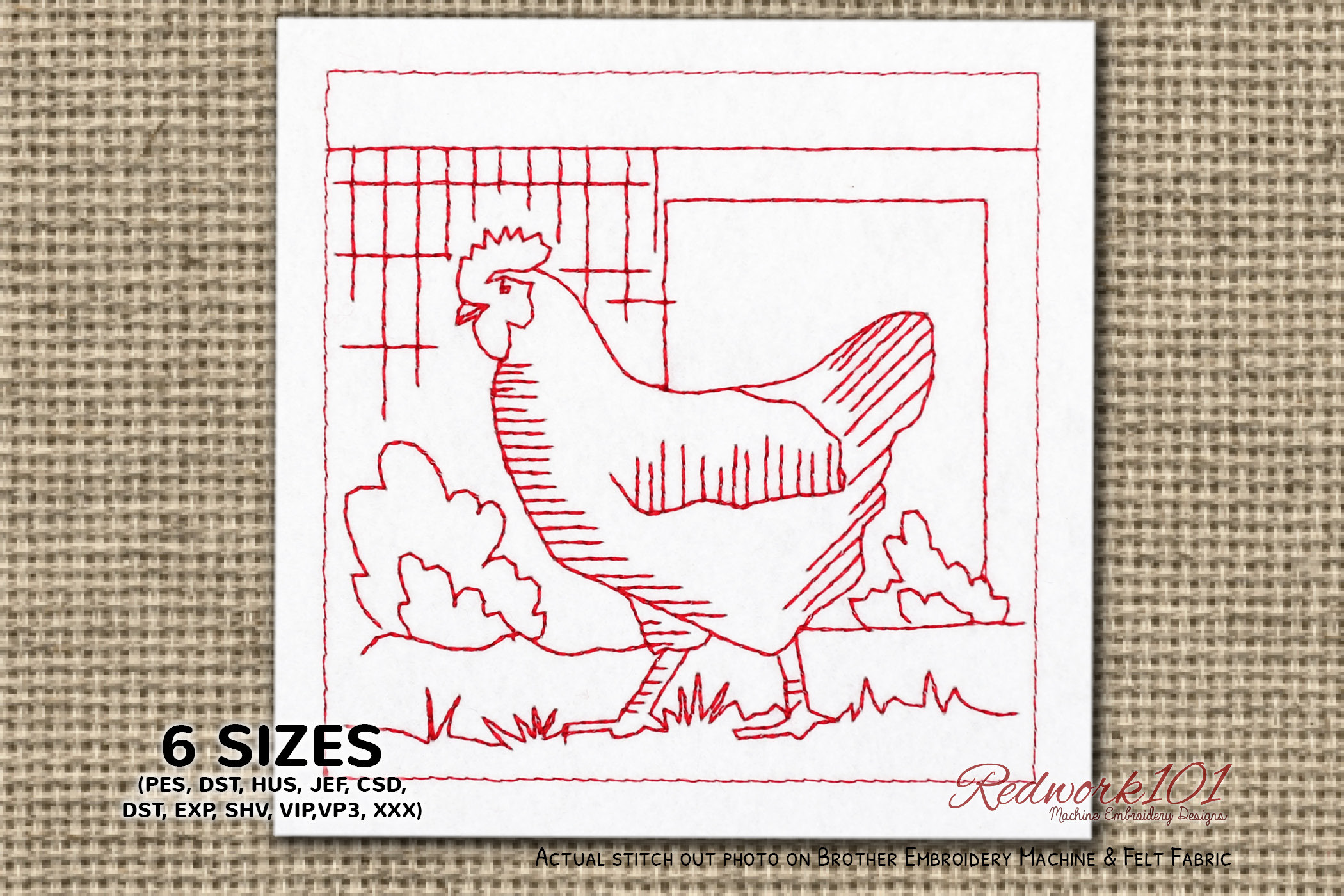 Chicken in Farm