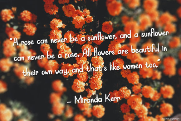 Dreamer Font PNG with transparent background - Preview 1