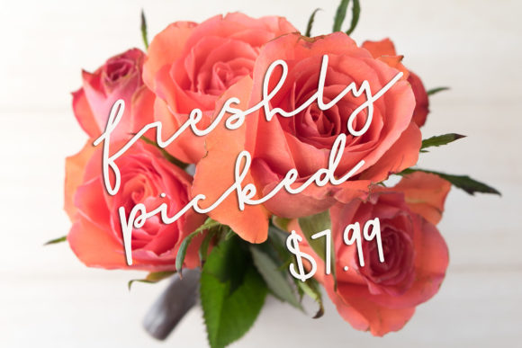 Honey Font - Preview 6