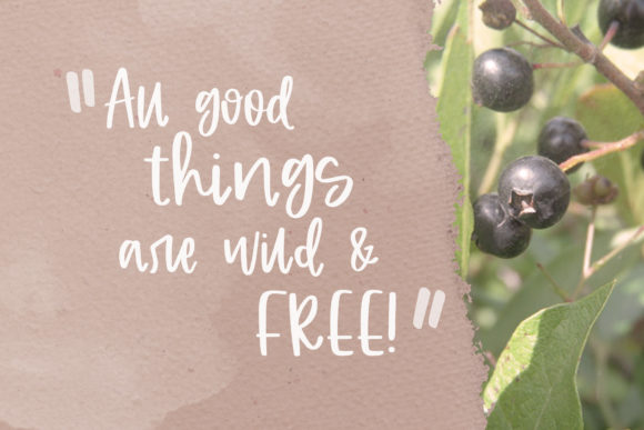 Huckleberry Font - Preview 1