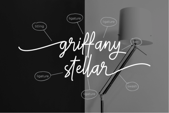 Gittany Signature Font - Preview 4