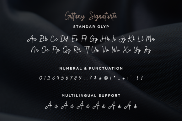 Gittany Signature Font - Preview 5
