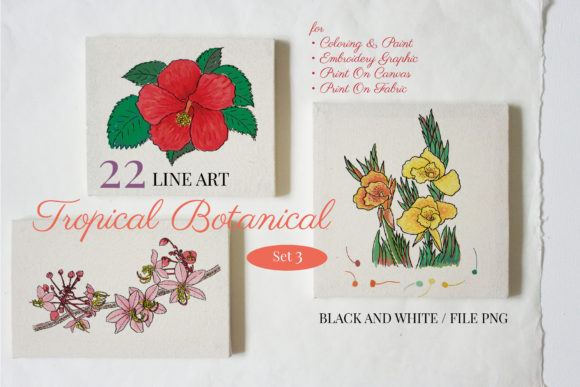 Hand Drawn Tropical Botanical Set Graphic by Hanatist Studio · Creative ...