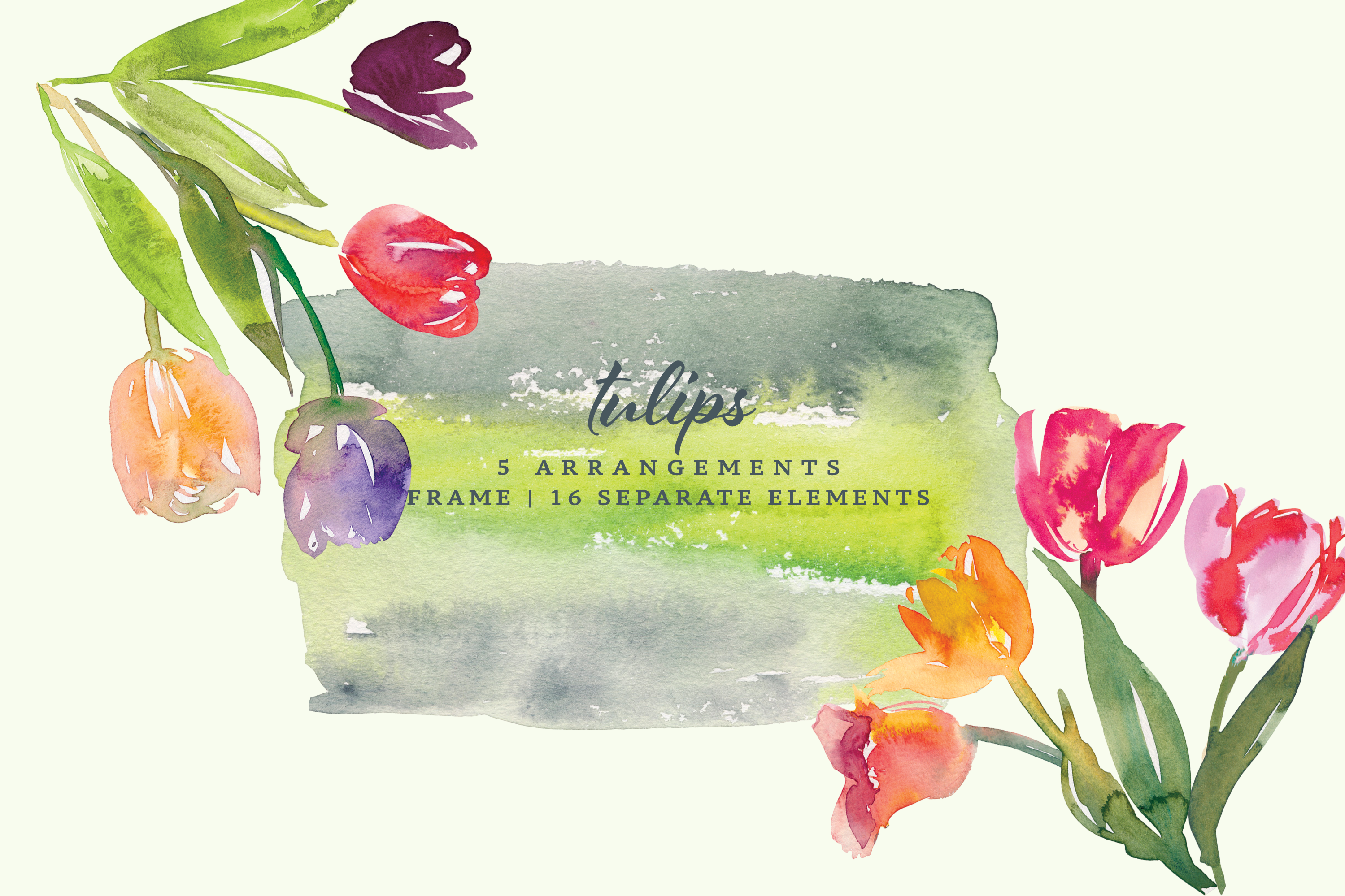 Watercolor Tulip Clipart Collection - photo 2