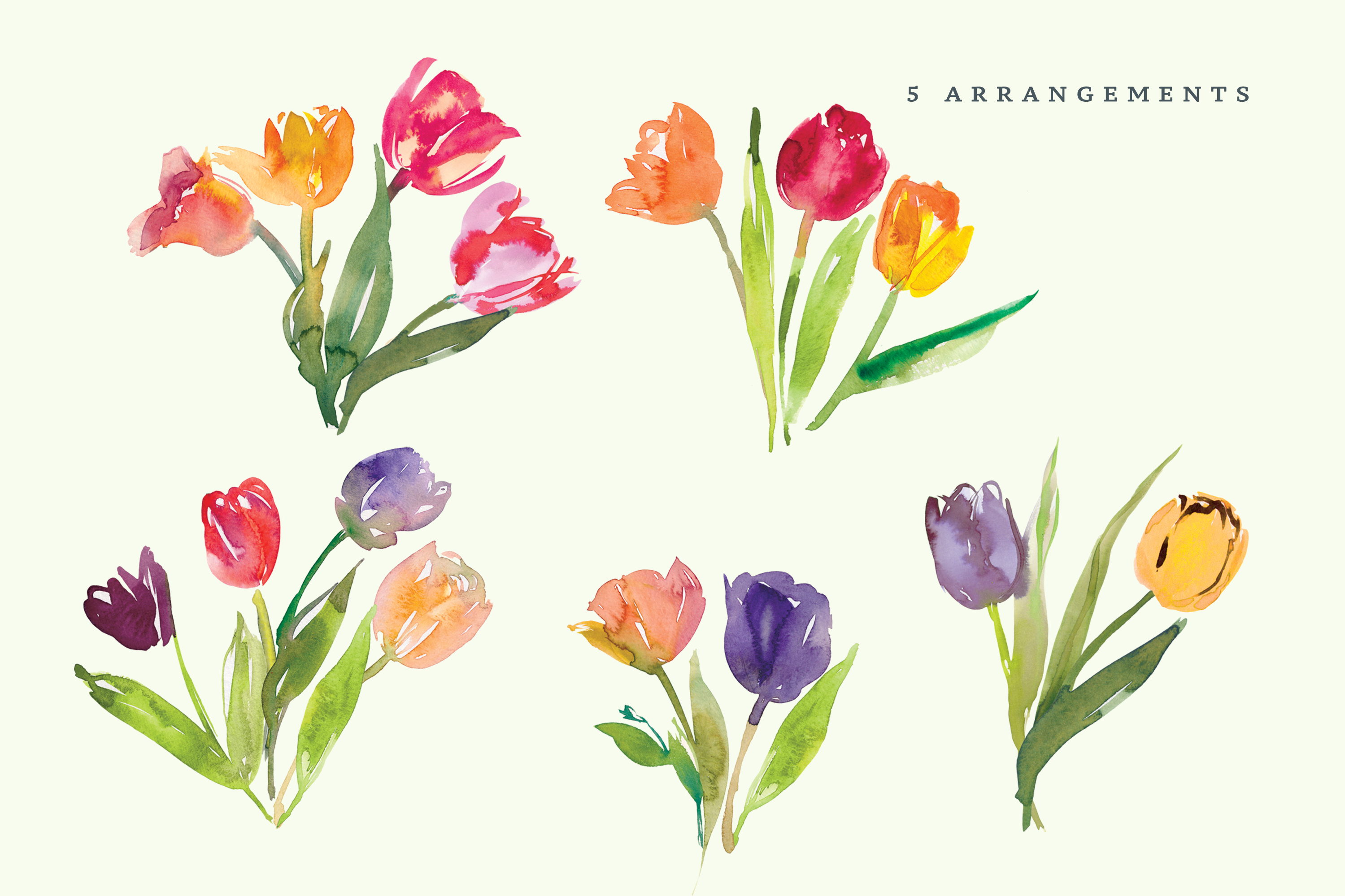 Watercolor Tulip Clipart Collection - photo 3