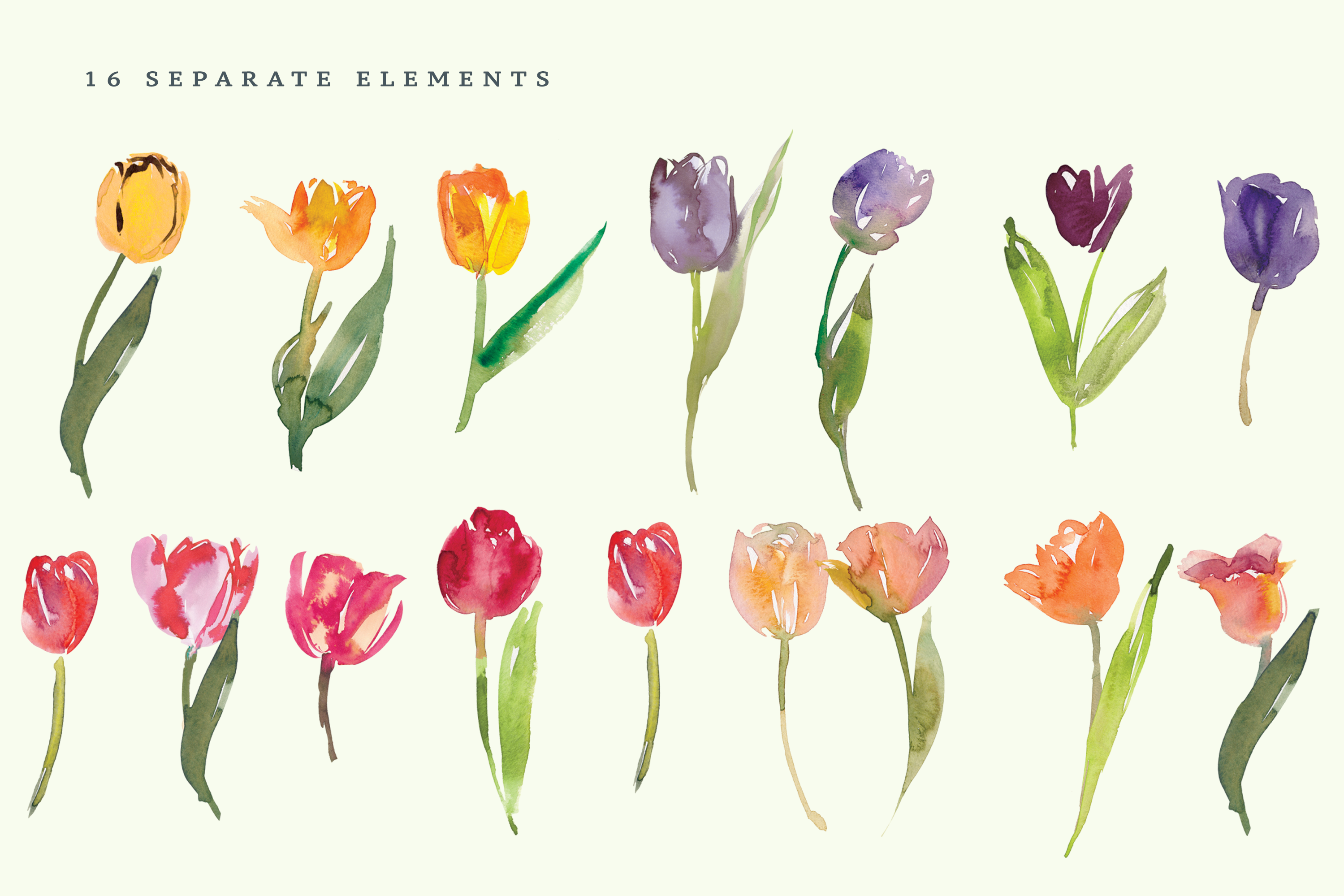 Watercolor Tulip Clipart Collection - photo 4