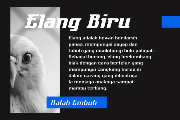 Elang Biru Font - Preview 1