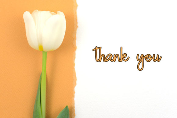 Paper Flowers Font PNG with transparent background - Preview 5
