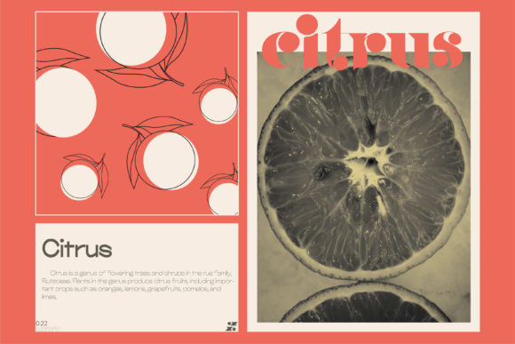 Qilky Font PNG with transparent background - Preview 5