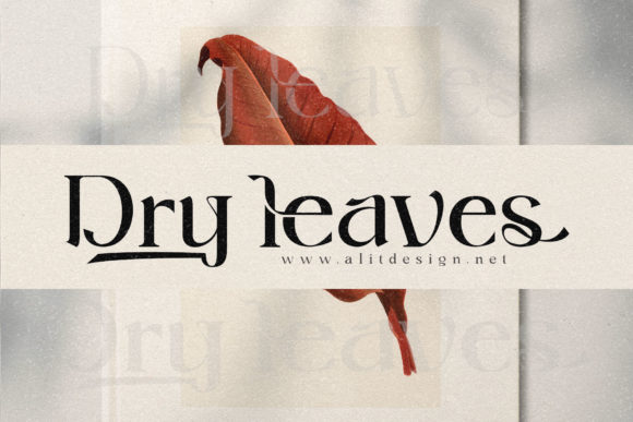 Roller Alika Font PNG with transparent background - Preview 6