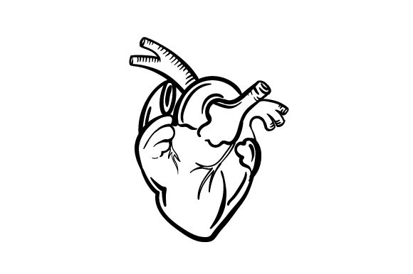 Human Heart Line Art Designs & Zeichnungen Craft-Schnittdatei Von Creative Fabrica Crafts