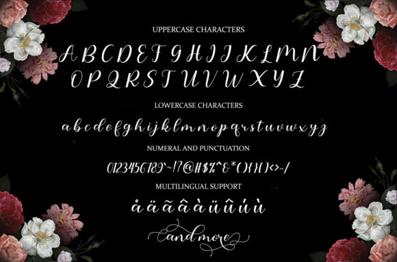 Amanda Font - Preview 5