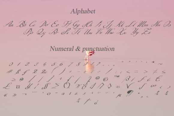 Coffee Latte Font - Preview 3
