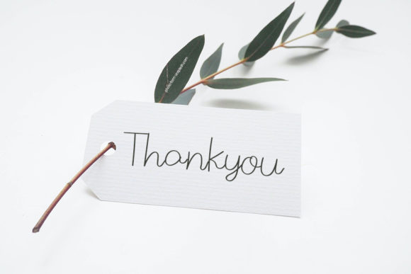 Flower Mist Font PNG with transparent background - Preview 2