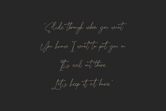 Blowfisher Signature Font - Preview 3
