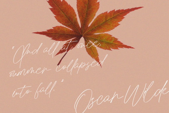 Jules Otonomi Font PNG with transparent background - Preview 1