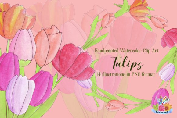 Tulips Handpainted Clipart Illustration Graphic Illustrations By Colormarch