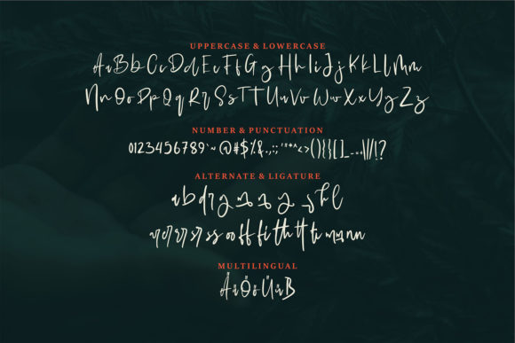 Nooleigh Font PNG with transparent background - Preview 5