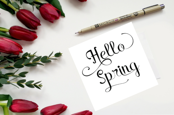 Rain in Spring Font PNG with transparent background - Preview 1