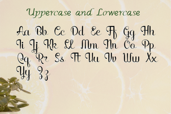 Rain in Spring Font PNG with transparent background - Preview 5