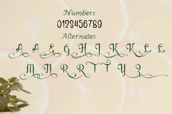 Rain in Spring Font PNG with transparent background - Preview 6
