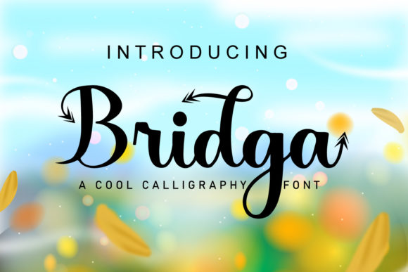 Bridga Font - Preview 5