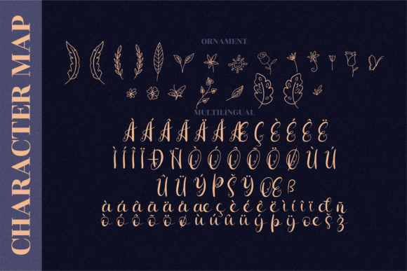 Hiratheria Font PNG with transparent background - Preview 4