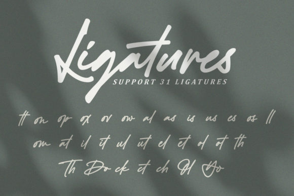 Black Signatures Font - Preview 3