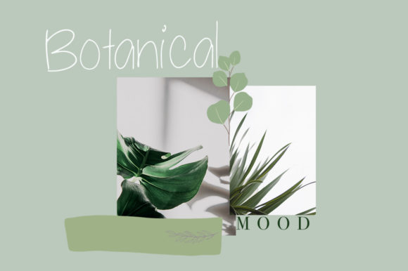 Palmetto Font PNG with transparent background - Preview 6