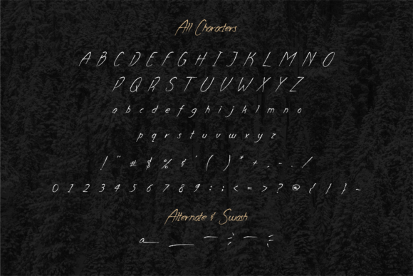 Ankara Font - Preview 4