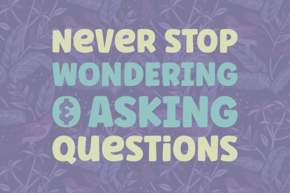 Ask Why Font - Preview 2