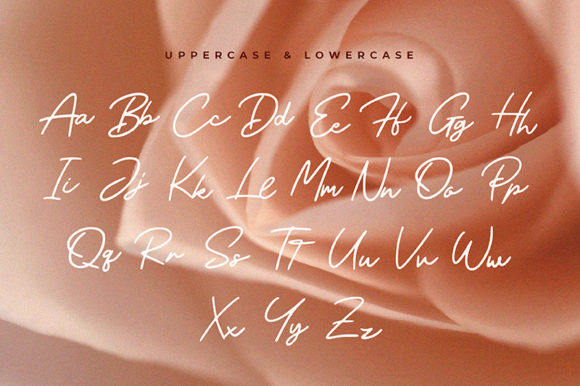 Meyried Font PNG with transparent background - Preview 2