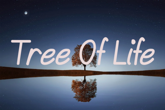 Minimalist House Font PNG with transparent background - Preview 2