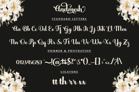 Andmesh Font - Preview 5