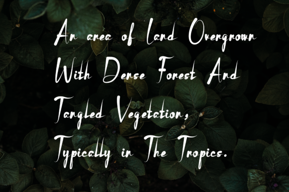 Butterfly Font - Preview 2